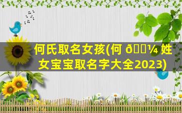 何氏取名女孩(何 🌼 姓女宝宝取名字大全2023)